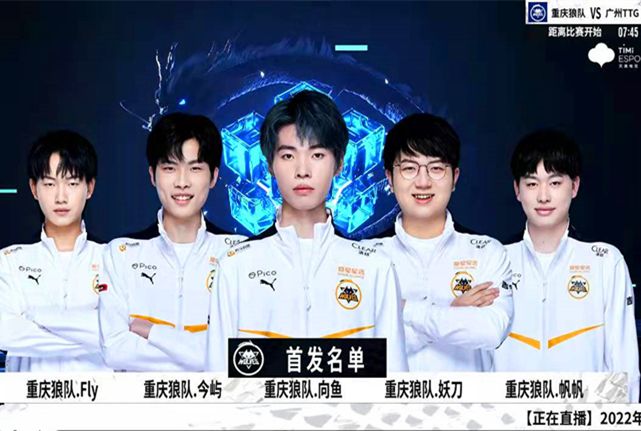 如扎伊尔