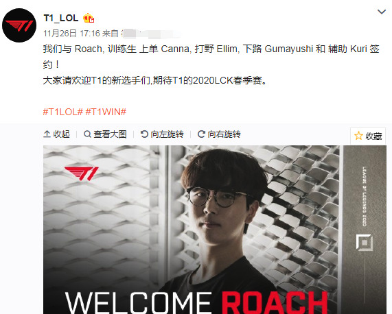 为了增强体 为了增强体