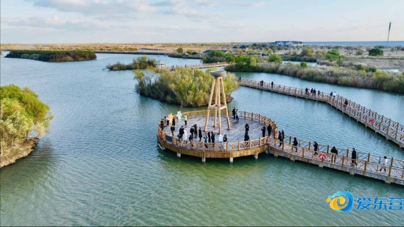 赛及欧冠赛 赛及欧冠赛